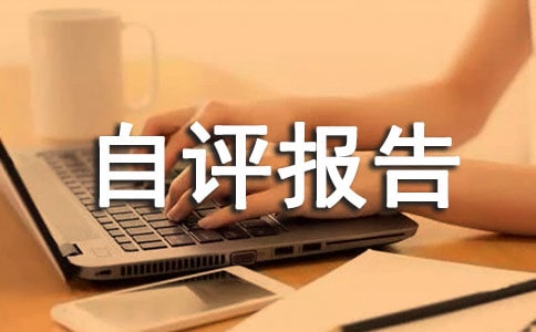 工作绩效考核自评报告
