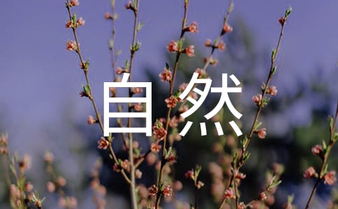 汛期自然灾害应急预案