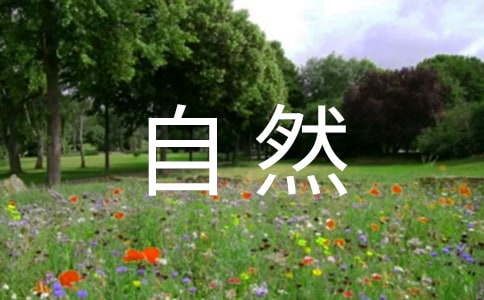 有关大自然灾害应急预案