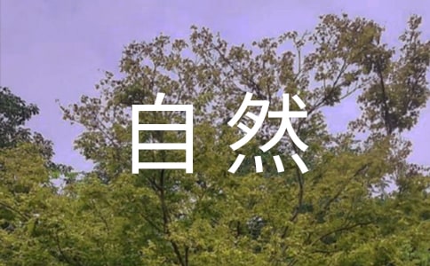 雨自然作文(精选15篇)