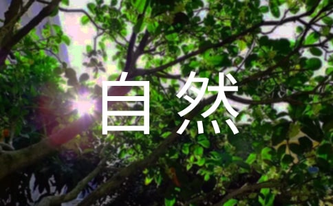 赞美大自然的现代诗
