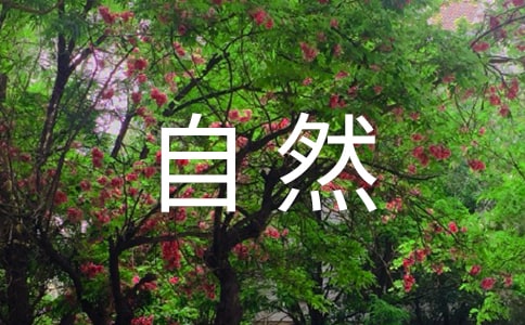 赞美大自然作文