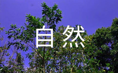 2016小学自然灾害应急预案