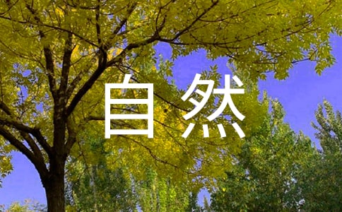 自然灾害应急预案范本