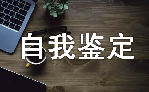 档案的自我鉴定