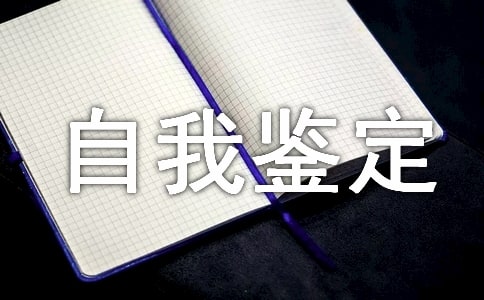 300自我鉴定