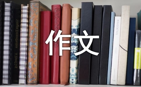 观灯展作文