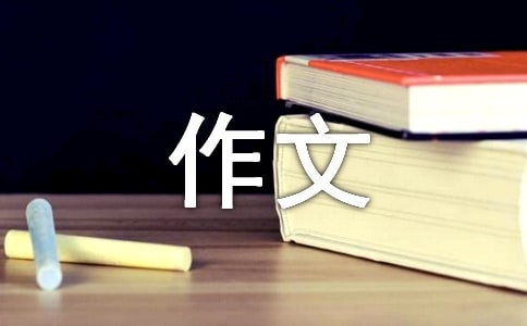 分寸作文
