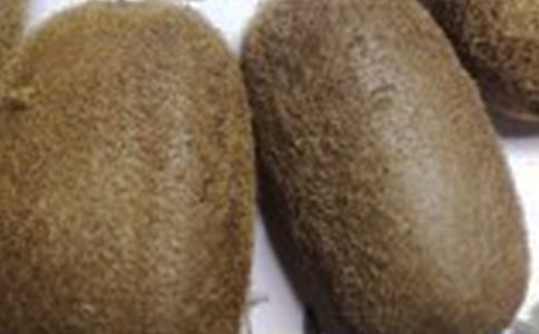 [精品]猕猴桃作文15篇