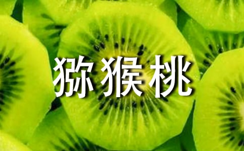 【合集】猕猴桃作文15篇