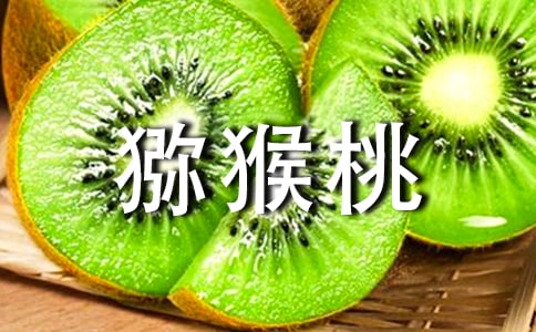 摘猕猴桃作文