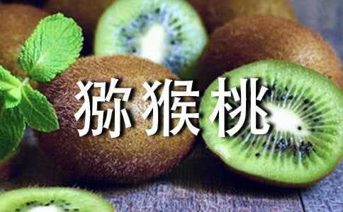 (优选)猕猴桃的自述作文