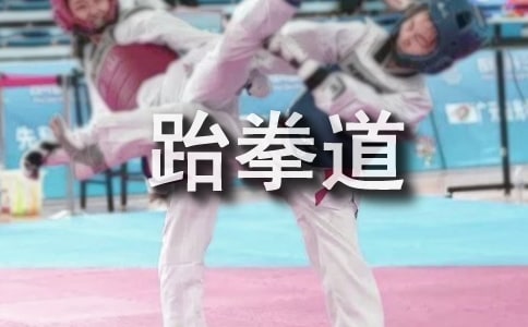 [优秀]跆拳道作文32篇
