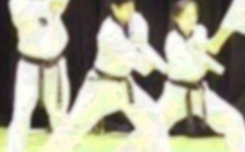 学跆拳道作文二年级