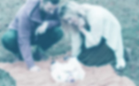 爸爸妈妈对我的爱作文(集锦15篇)