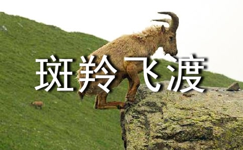 《斑羚飞渡》读后感（精选30篇）