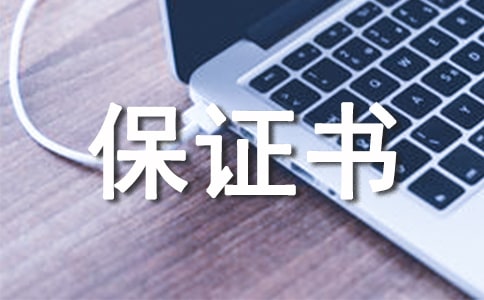 关于出国旅游保证书3篇
