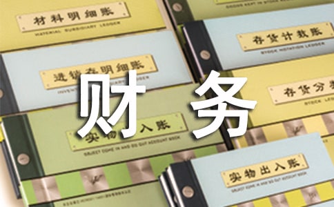 财务部个人工作总结