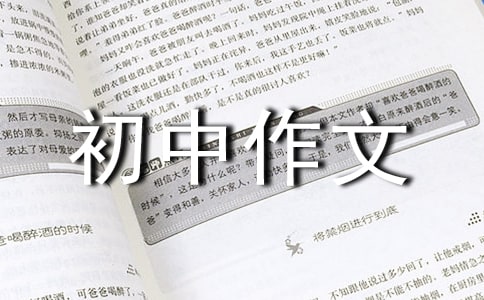 往事初中作文