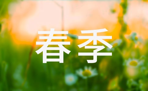 中班春季班级工作计划8篇