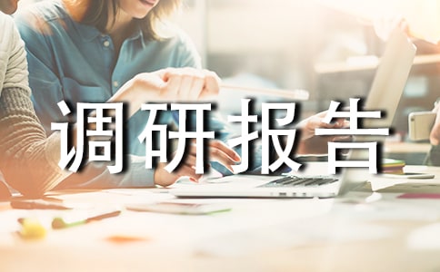 调研报告