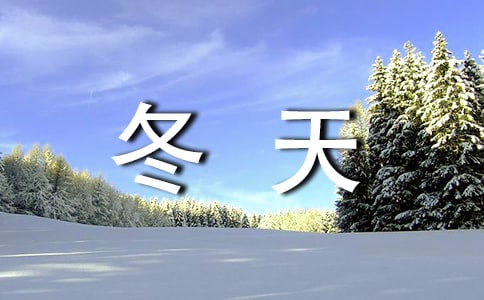 冬天的雨作文300字