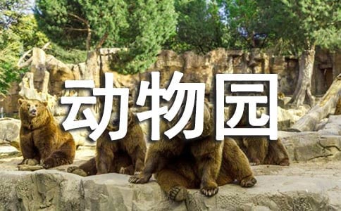 【推荐】班级动物园作文