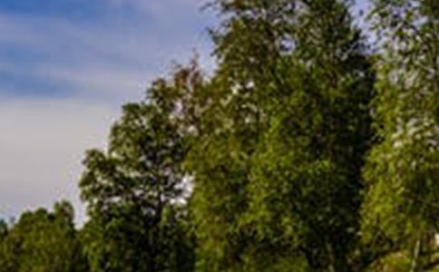优美风景的写景作文