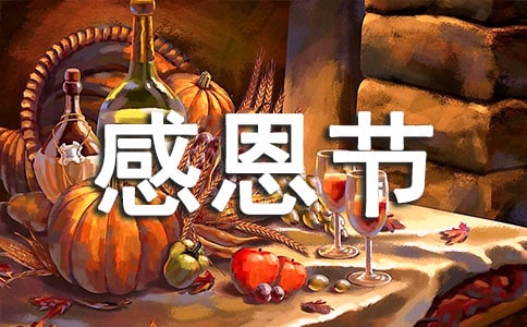 幼儿园感恩节活动总结(精选15篇)