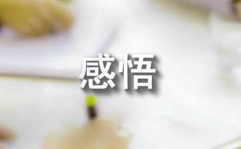【热门】人生感悟名句合集38句
