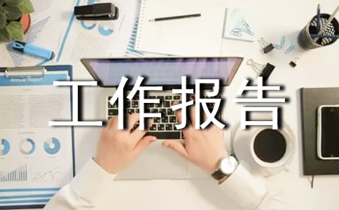 工作报告
