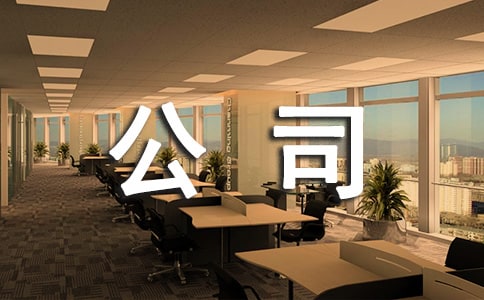 公司员工试用期工作总结2022