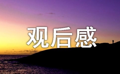 《长津湖》观后感（通用5篇）