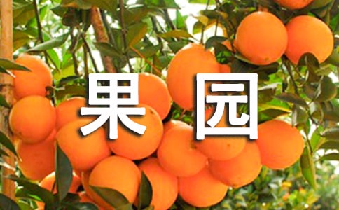 农村果园转让协议书