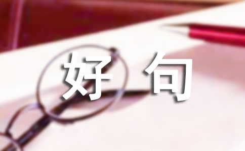 人生感悟好句200句