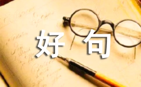 好句加赏析摘抄大全