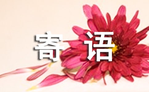 向国旗敬礼网上签名寄语