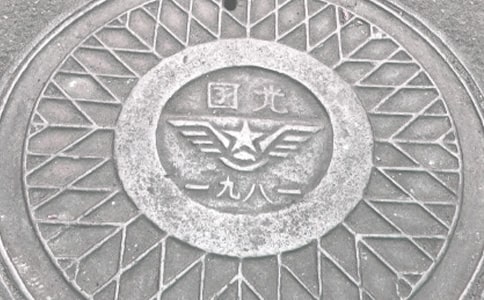 景观石和窨井盖作文700字