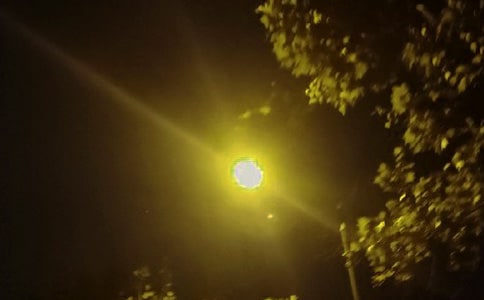 精选赞美路灯的作文300字4篇