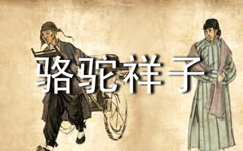 骆驼祥子读书笔记汇编15篇