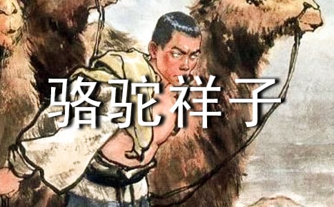 骆驼祥子作文