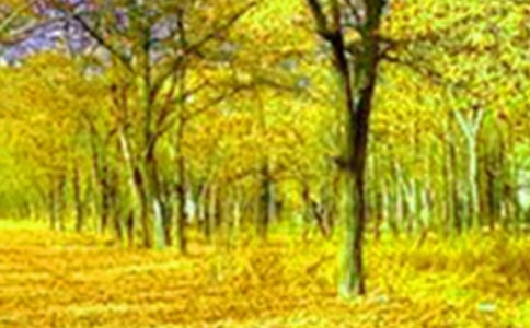乡村的美景作文600字