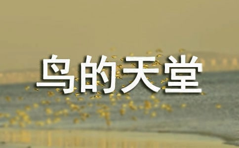 鸟的天堂导游词(集锦15篇)