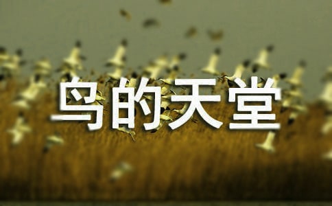 鸟的天堂导游词(15篇)