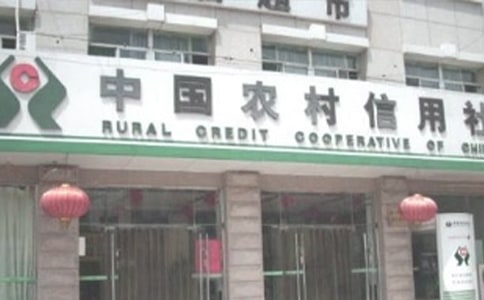 农村信用社的实习总结(通用13篇)