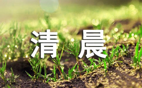 (优)清晨的阳光唯美句子15篇