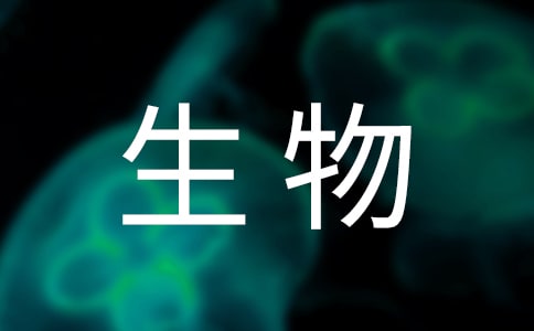 初一上学期生物试题及答案