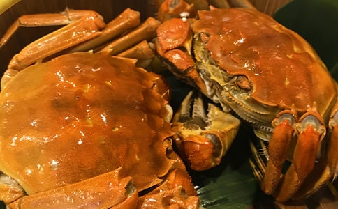 关于食物介绍作文三篇