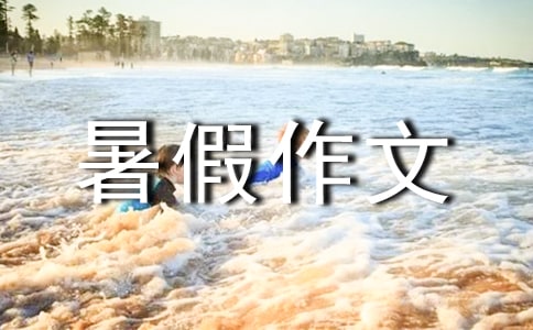 初二暑假作文