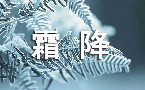 二十四节气之霜降句子290句